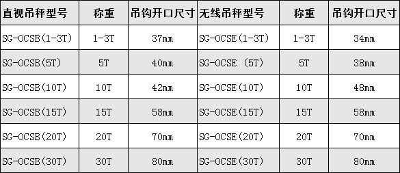 無(wú)線電子吊秤
